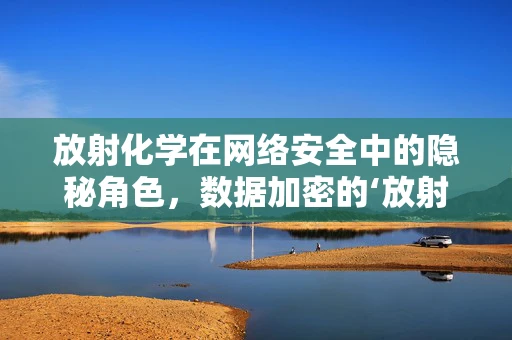 放射化学在网络安全中的隐秘角色，数据加密的‘放射性’启示？