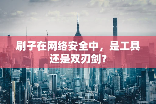 刷子在网络安全中，是工具还是双刃剑？