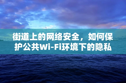 街道上的网络安全，如何保护公共Wi-Fi环境下的隐私？