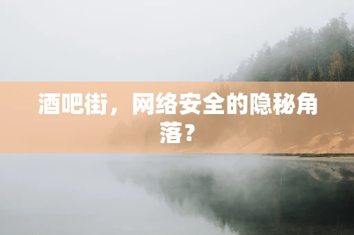 酒吧街，网络安全的隐秘角落？