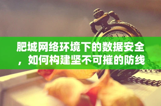 肥城网络环境下的数据安全，如何构建坚不可摧的防线？