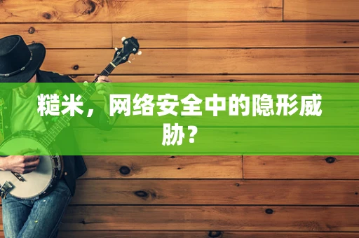 糙米，网络安全中的隐形威胁？