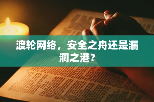 渡轮网络，安全之舟还是漏洞之港？