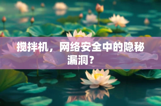 搅拌机，网络安全中的隐秘漏洞？