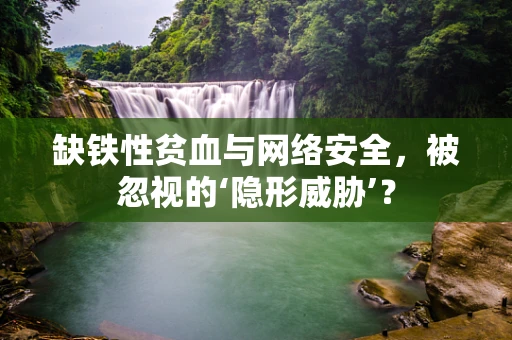 缺铁性贫血与网络安全，被忽视的‘隐形威胁’？