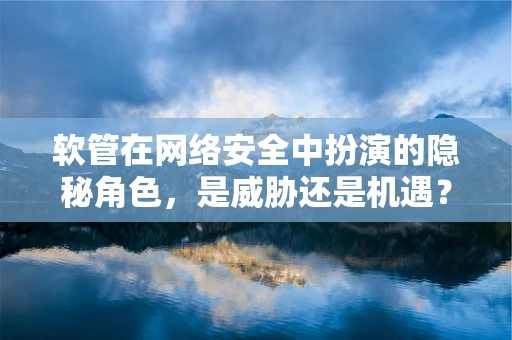 软管在网络安全中扮演的隐秘角色，是威胁还是机遇？