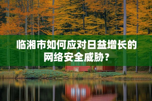 临湘市如何应对日益增长的网络安全威胁？