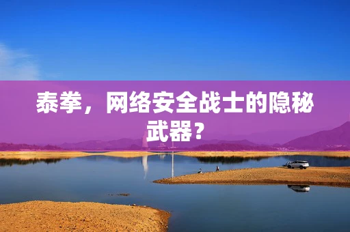 泰拳，网络安全战士的隐秘武器？