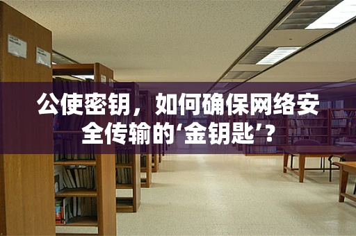 公使密钥，如何确保网络安全传输的‘金钥匙’？