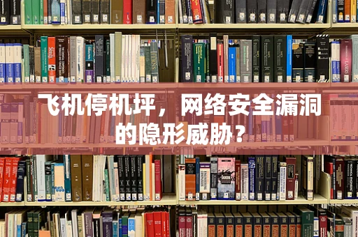 飞机停机坪，网络安全漏洞的隐形威胁？