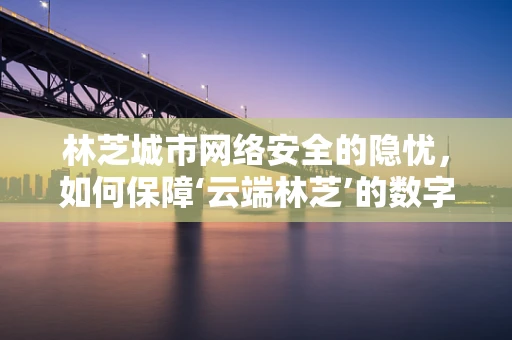 林芝城市网络安全的隐忧，如何保障‘云端林芝’的数字安全？