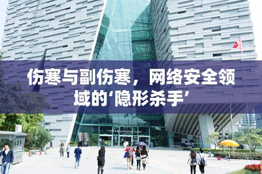 伤寒与副伤寒，网络安全领域的‘隐形杀手’