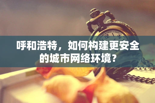 呼和浩特，如何构建更安全的城市网络环境？