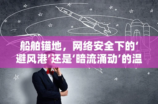 船舶锚地，网络安全下的‘避风港’还是‘暗流涌动’的温床？
