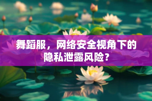 舞蹈服，网络安全视角下的隐私泄露风险？