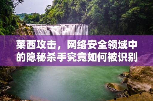 莱西攻击，网络安全领域中的隐秘杀手究竟如何被识别与防御？