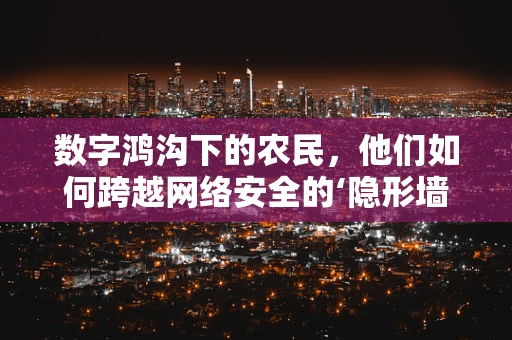 数字鸿沟下的农民，他们如何跨越网络安全的‘隐形墙’？