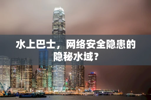 水上巴士，网络安全隐患的隐秘水域？