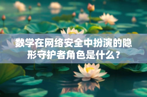 数学在网络安全中扮演的隐形守护者角色是什么？