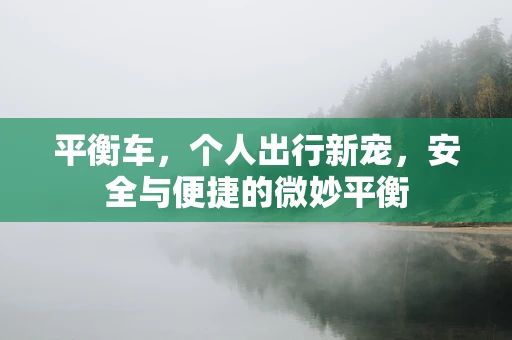 平衡车，个人出行新宠，安全与便捷的微妙平衡