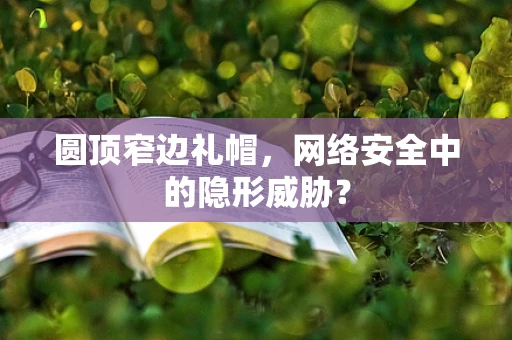 圆顶窄边礼帽，网络安全中的隐形威胁？