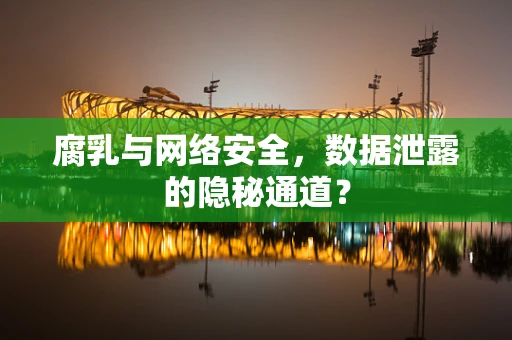腐乳与网络安全，数据泄露的隐秘通道？
