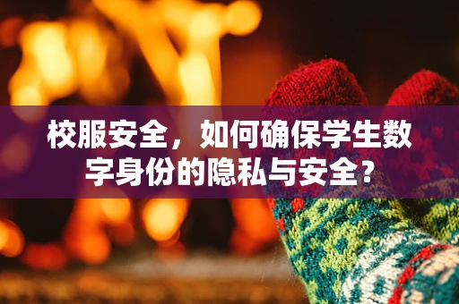 校服安全，如何确保学生数字身份的隐私与安全？
