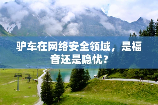 驴车在网络安全领域，是福音还是隐忧？