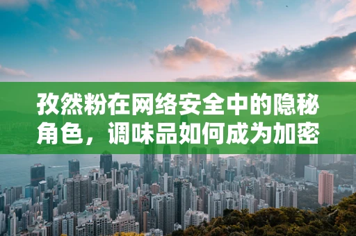 孜然粉在网络安全中的隐秘角色，调味品如何成为加密解密的关键？