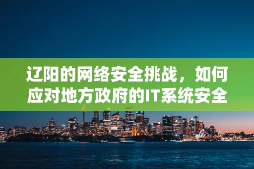辽阳的网络安全挑战，如何应对地方政府的IT系统安全风险？