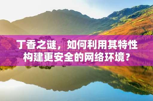 丁香之谜，如何利用其特性构建更安全的网络环境？