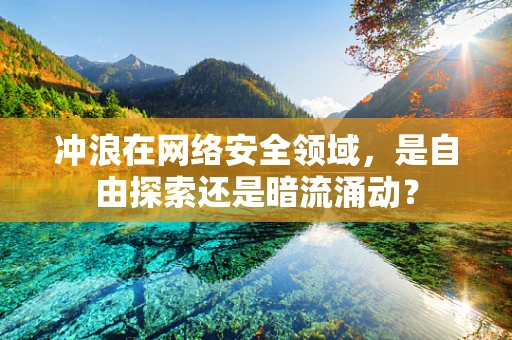 冲浪在网络安全领域，是自由探索还是暗流涌动？
