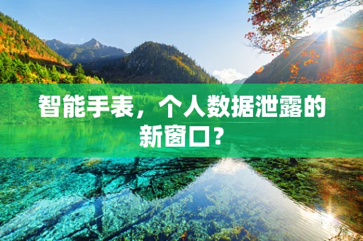 智能手表，个人数据泄露的新窗口？