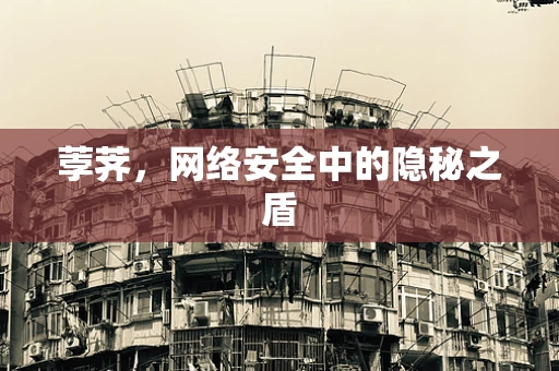 荸荠，网络安全中的隐秘之盾