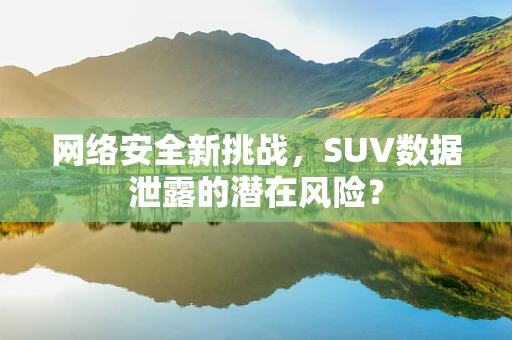 网络安全新挑战，SUV数据泄露的潜在风险？