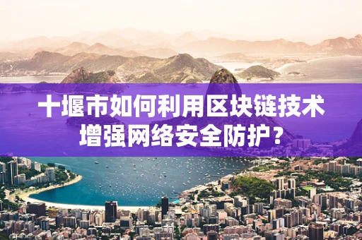 十堰市如何利用区块链技术增强网络安全防护？