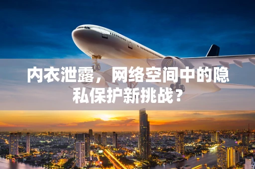 内衣泄露，网络空间中的隐私保护新挑战？