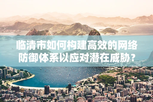 临清市如何构建高效的网络防御体系以应对潜在威胁？