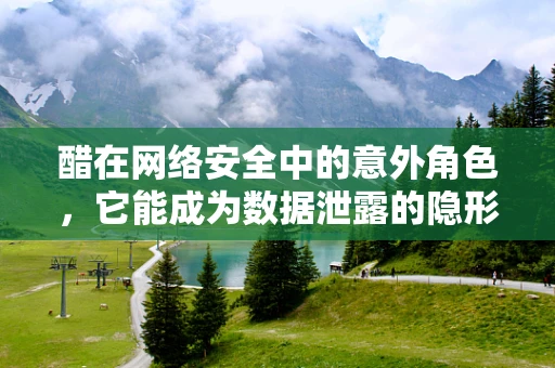 醋在网络安全中的意外角色，它能成为数据泄露的隐形威胁吗？