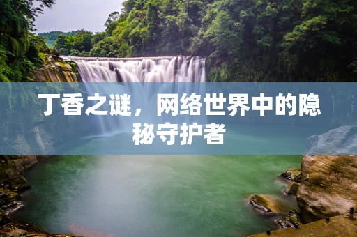 丁香之谜，网络世界中的隐秘守护者