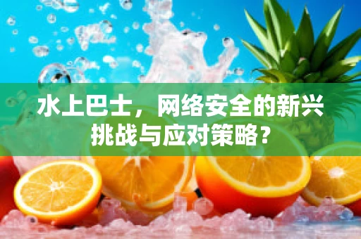 水上巴士，网络安全的新兴挑战与应对策略？
