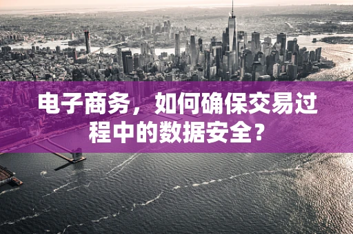 电子商务，如何确保交易过程中的数据安全？