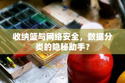 收纳篮与网络安全，数据分类的隐秘助手？
