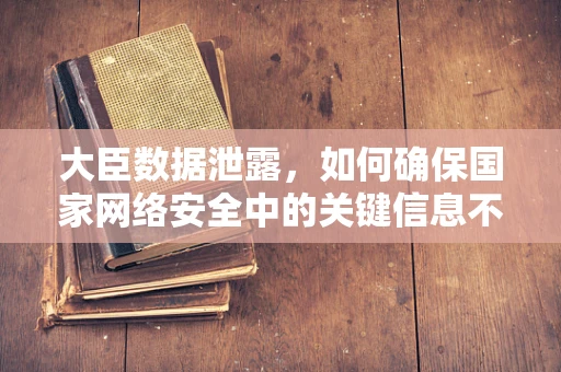 大臣数据泄露，如何确保国家网络安全中的关键信息不被窃取？