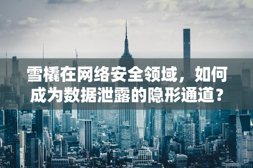 雪橇在网络安全领域，如何成为数据泄露的隐形通道？