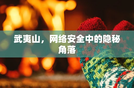 武夷山，网络安全中的隐秘角落