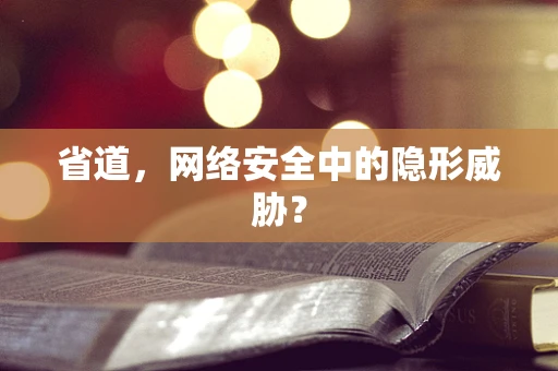 省道，网络安全中的隐形威胁？