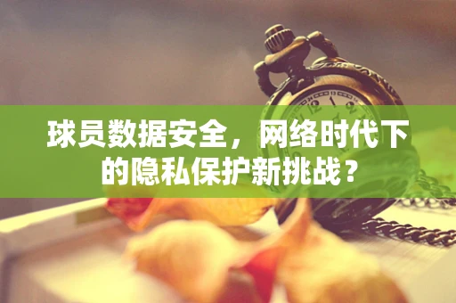 球员数据安全，网络时代下的隐私保护新挑战？