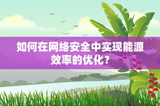 如何在网络安全中实现能源效率的优化？