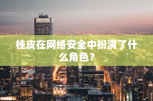 桂皮在网络安全中扮演了什么角色？